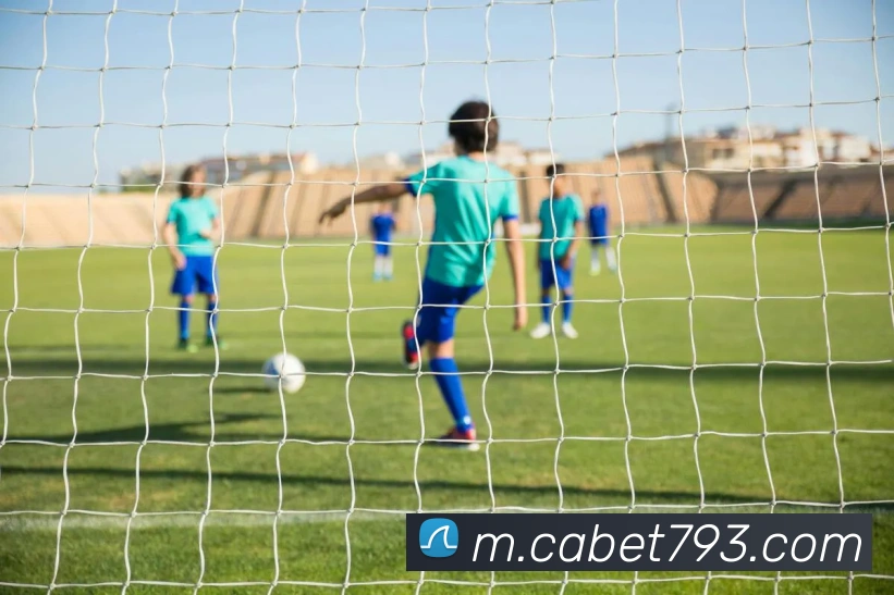 平台展示图